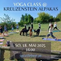 Yoga Alpaka